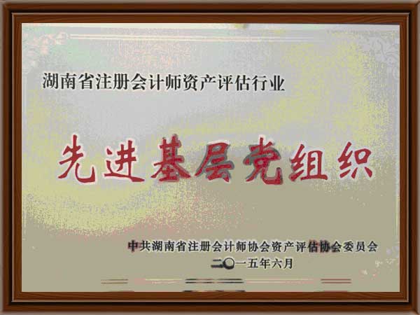 公司榮譽(yù)5