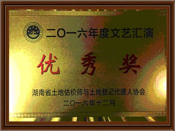 公司榮譽(yù)12