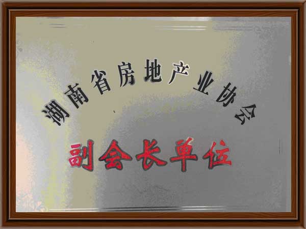 公司榮譽(yù)10