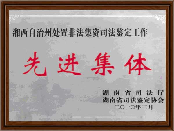 公司榮譽(yù)11