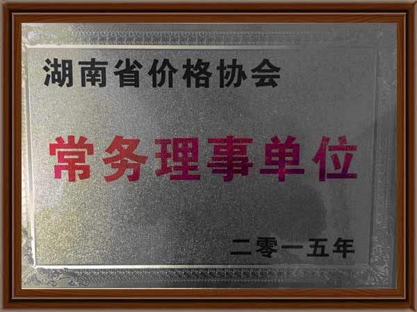 公司榮譽(yù)6