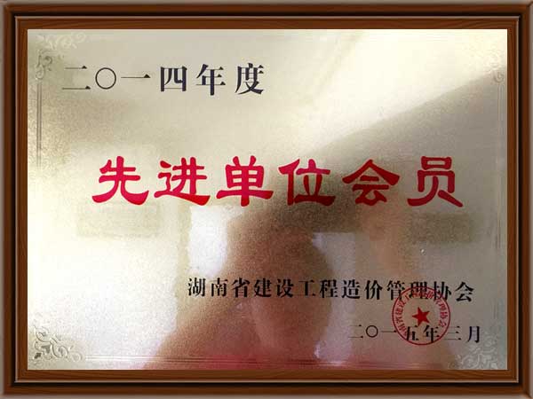 公司榮譽(yù)7